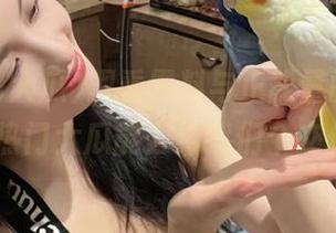 观看黑料与正能量的争斗，51热门大瓜能否给我们个交代？