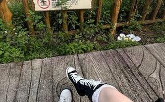 导航：从国产吃瓜到吃不到的瓜，这是一个怎样的旅程？
