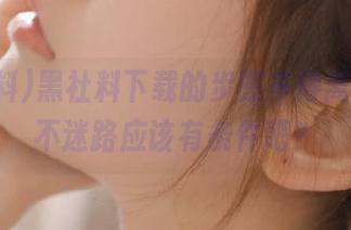 黑社料下载的步骤多得离谱，永不迷路应该有条件吧？