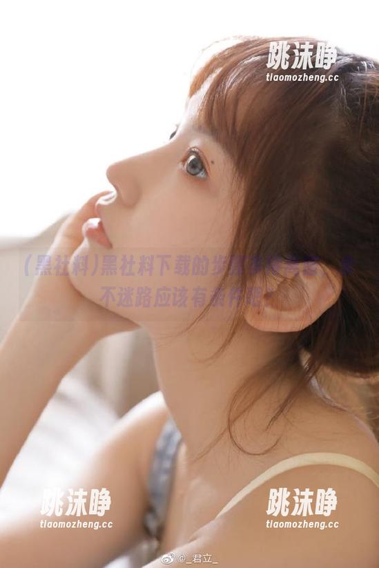 黑社料 黑社料下载的步骤多得离谱,永不迷路应该有条件吧?